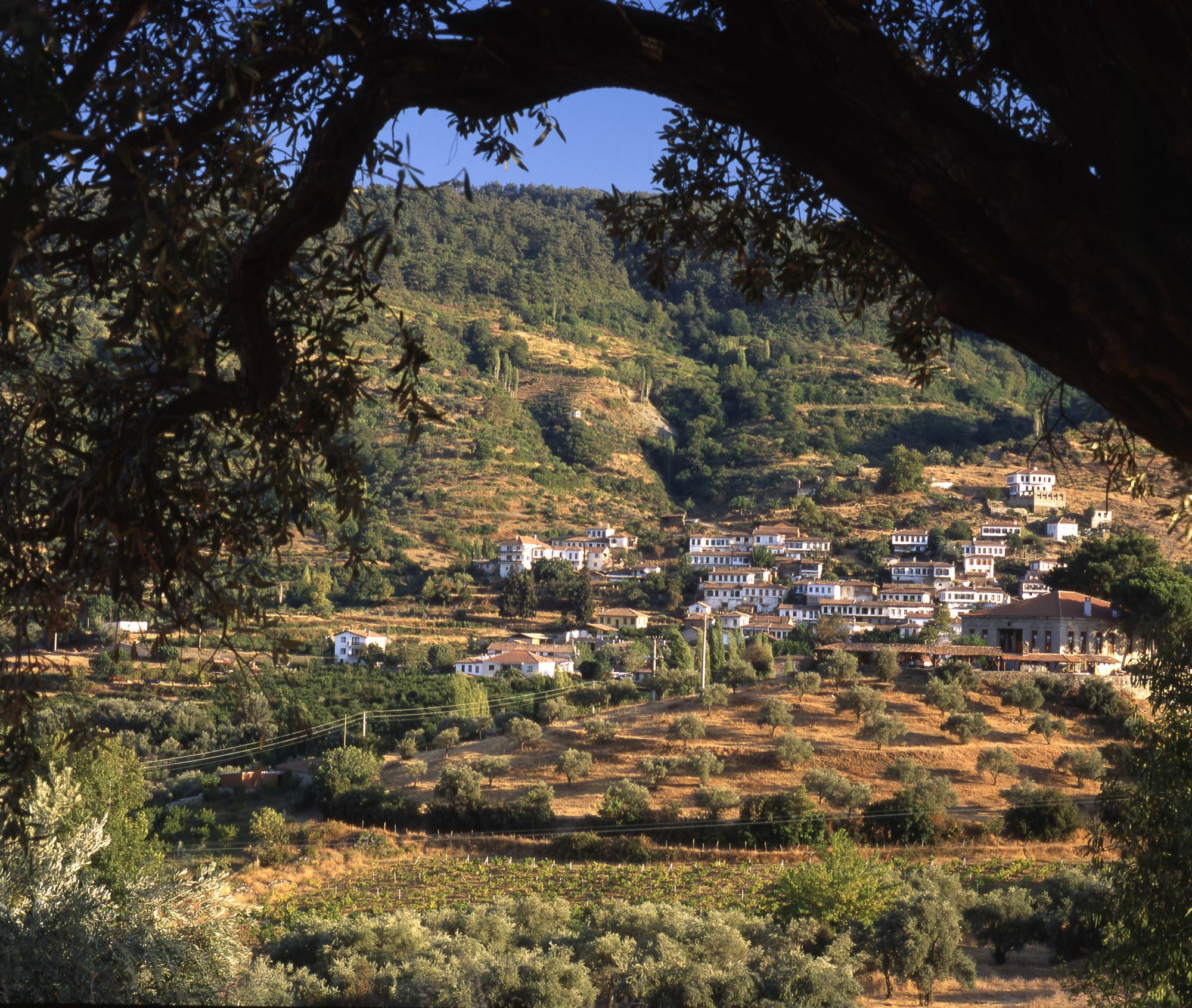 Hotel Sirince Evleri Selçuk Dış mekan fotoğraf